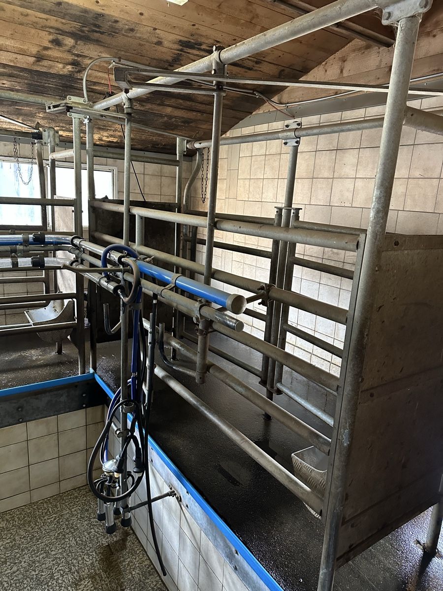 Delaval Tutte le macchine: Melkanlage – Usato da Klosters Dorf venduto da armin94
