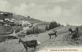 247 a Hausstatt an der BRIENZ ROTHORNBAHN BE gel. 1911!