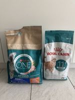 Nourriture pour chat senior