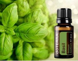 Olio essenziale Basilico doterra