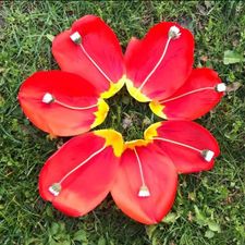 Profile image of Rose_Angela