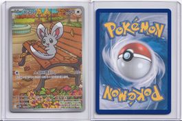 Pokémon Minccino AR 157/086 SV11B KR NM