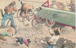 Katzen Verkehrschaos