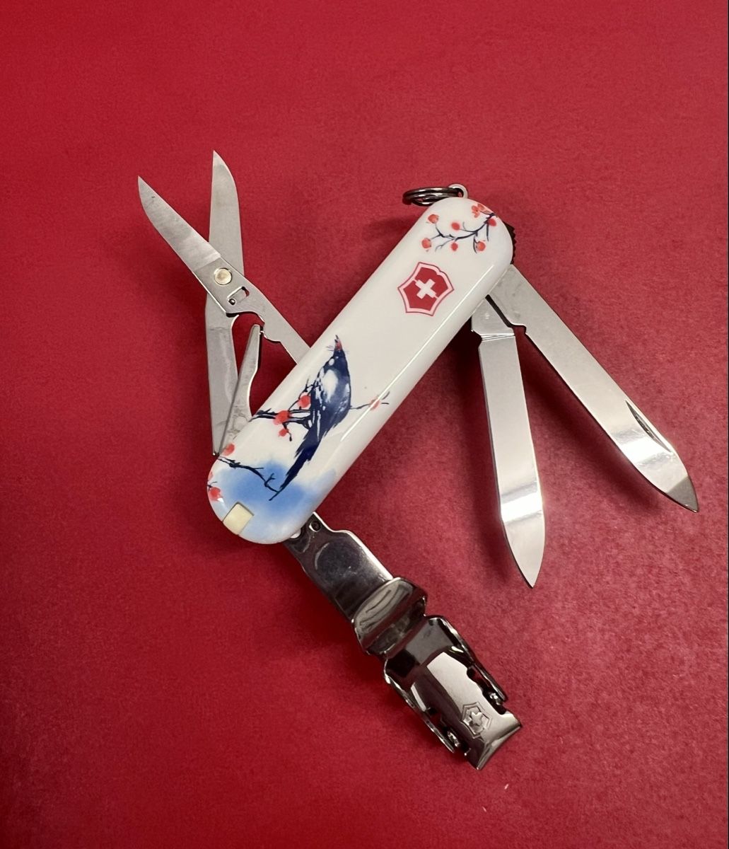 Victorinox Coltelli tascabile: Nail Clip - Limited Edition 2025 – Nuovo e nell'imballaggio originale da Luzern venduto da Nini_862 3