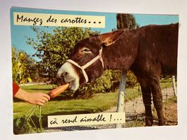 Carte postale - vintage âne rigolo mange carotte