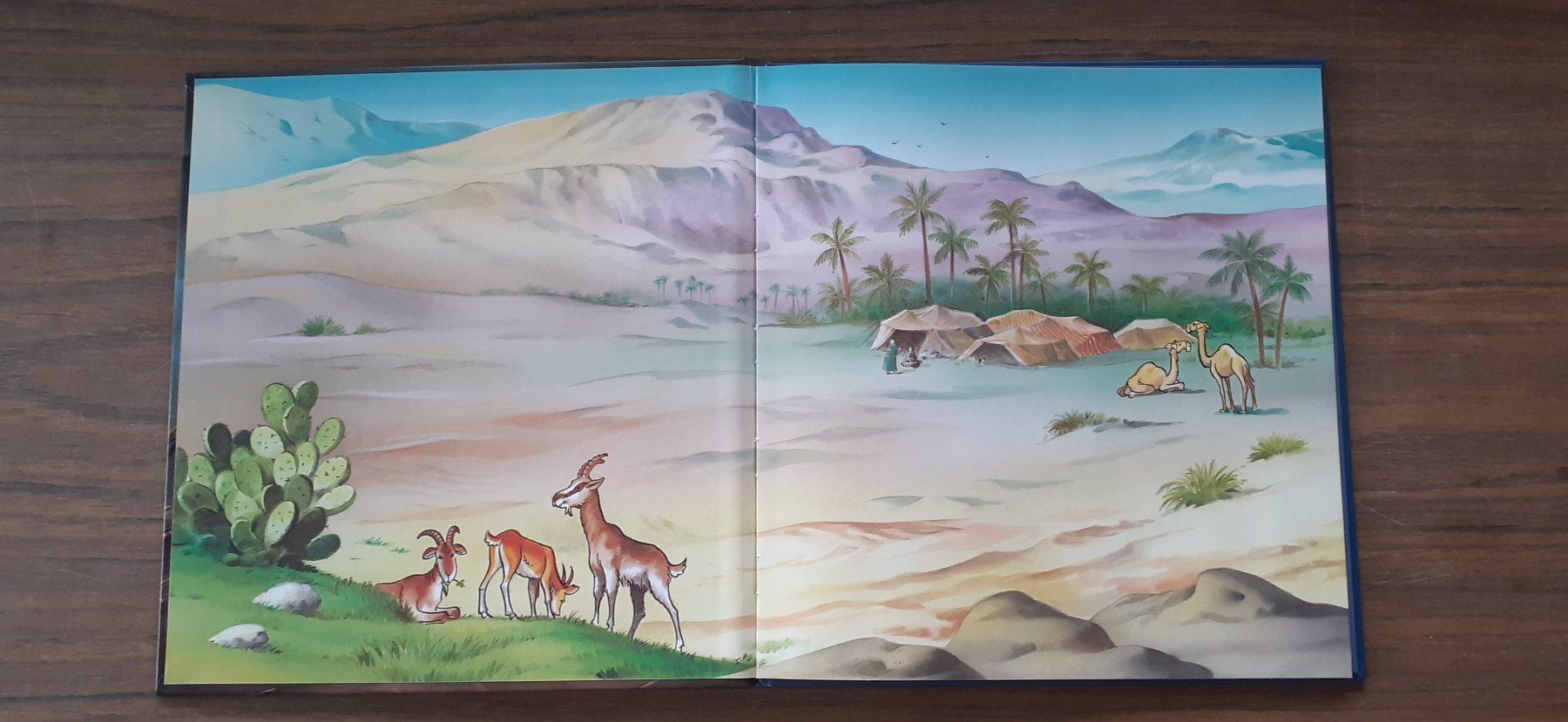 Libri: Kinderbuch Das Kind in der Krippe – Usato da Mörschwil venduto da lindaswunderkiste 1