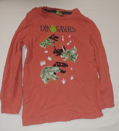 Cooles Dino-Shirt, Grösse 110