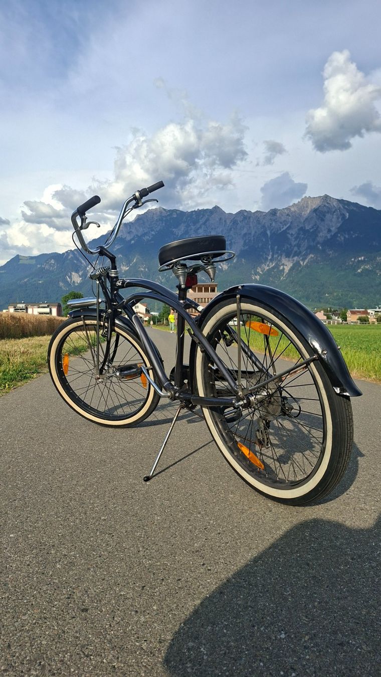 Felt Velos: Velo Felt Heritage Cruiser – Gebraucht aus Buchs SG von jon_n5w5 3