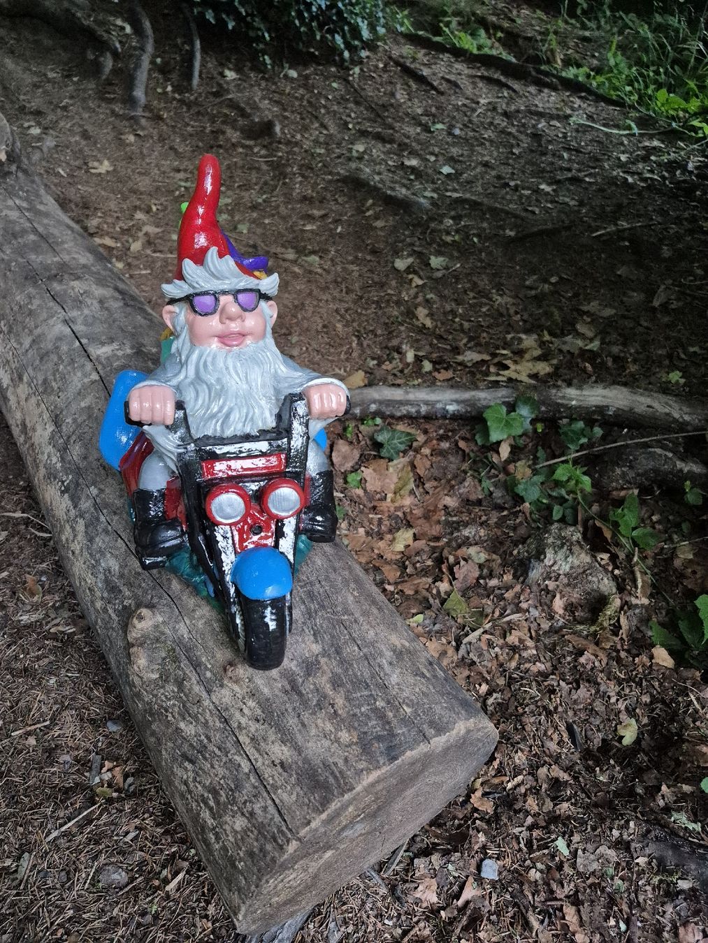 Figurines: Gartenzwerg Trike mit Sozius – D'occasion à Baar par Zwergen-Atelier4 1