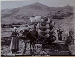 Vintage Wehrli, Unterengadin, Ochsenwagen, Landwirtschaft