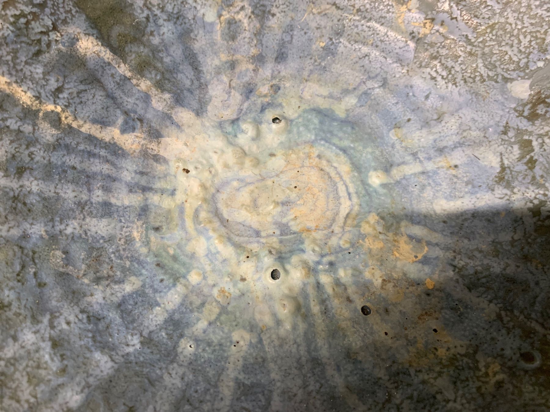 Ciotole: Früchteschale aus Ton Vintage – Usato da Regensdorf venduto da Spyke55 4