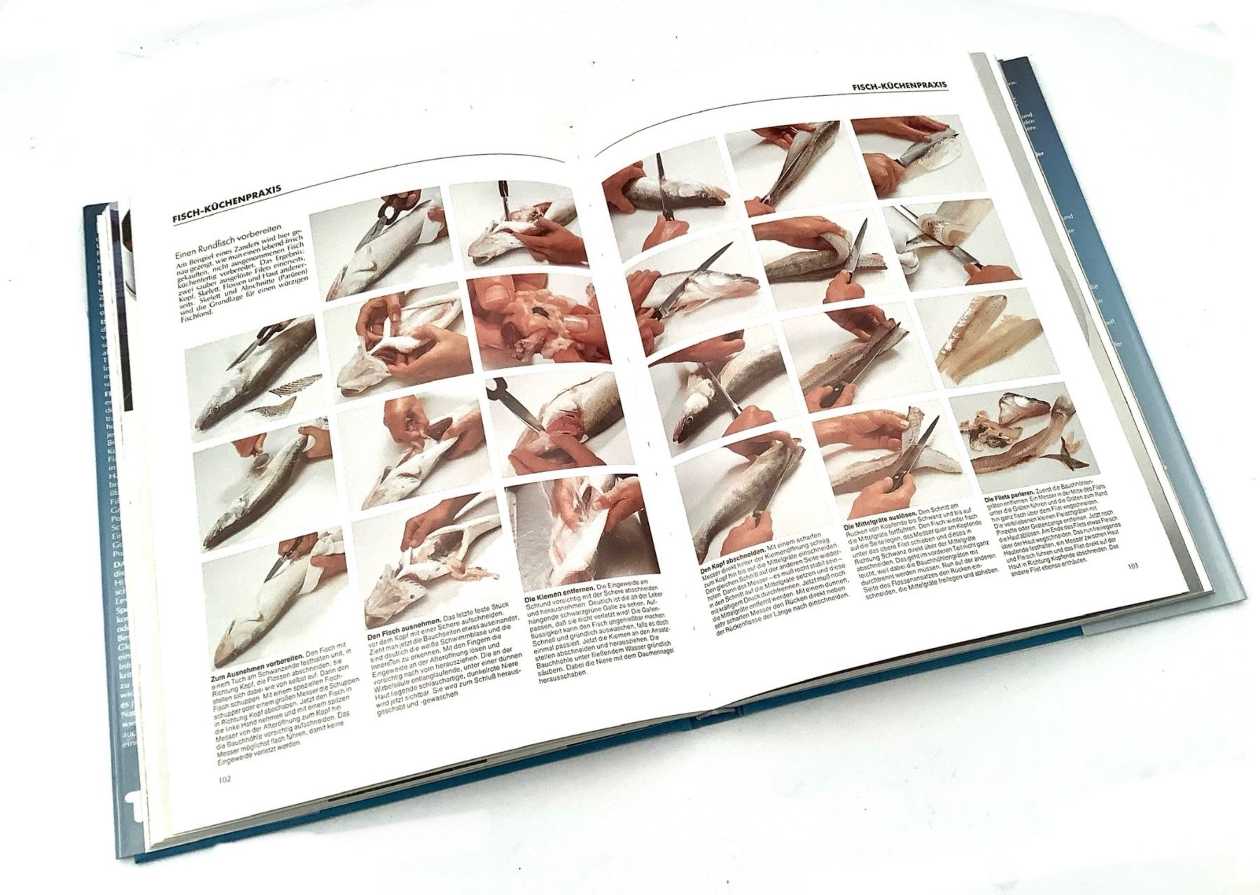 Bücher: Fisch Kochbuch und Lexikon Einmalig! – Gebraucht aus Küsnacht ZH von Vuit-on 6