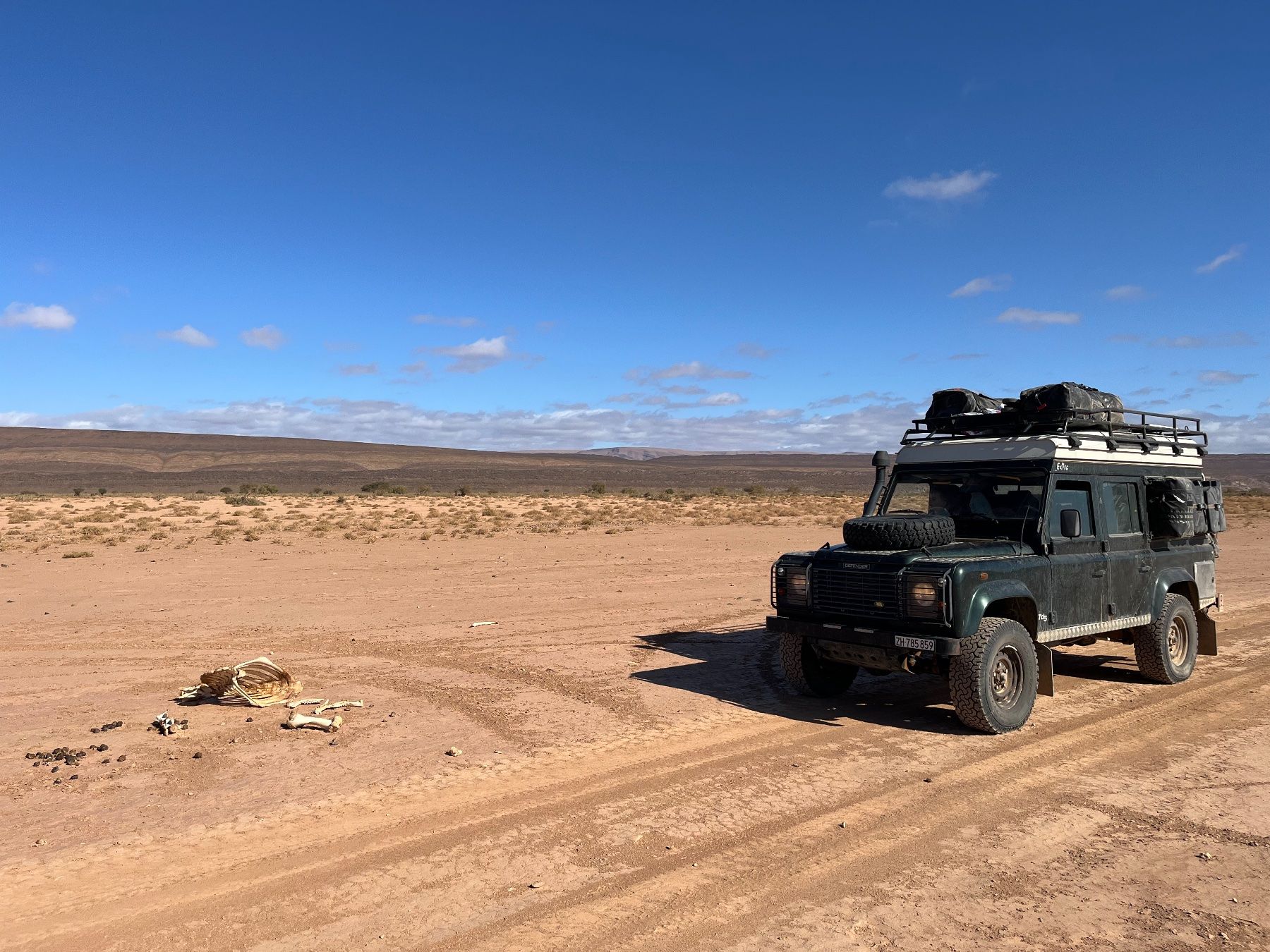 Land Rover Automobili: Land Rover Defender Reisemobil – Usato da Zürich venduto da fabiobuerge 1