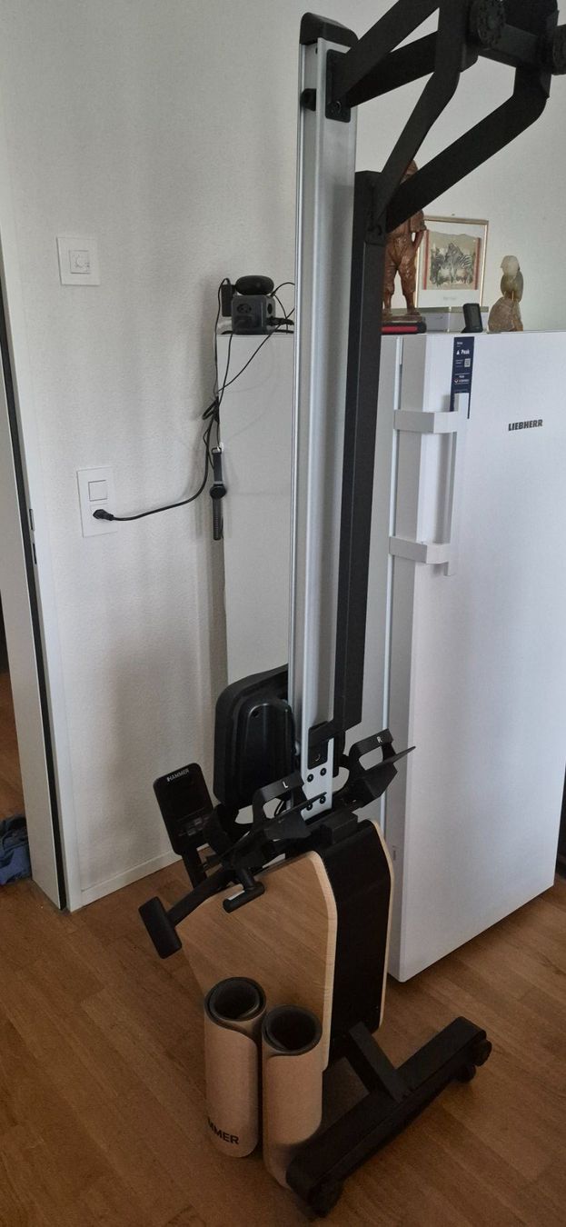 Hometrainer: Hammer RowTech Norsk – Usato da Amriswil venduto da Deepblue13