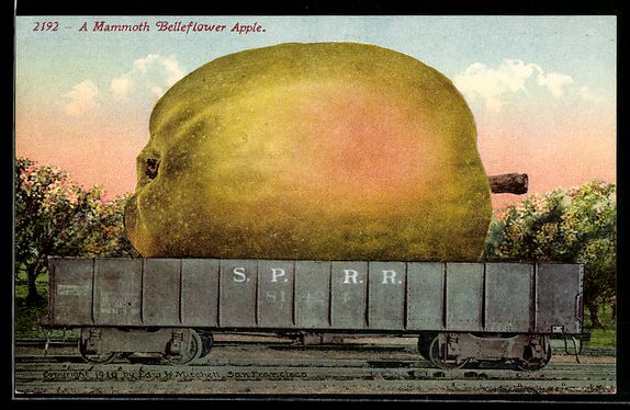 Cartoline postali: Optische Täuschung mit gigantischem Apf – Usato da Berlin venduto da bartko-reher