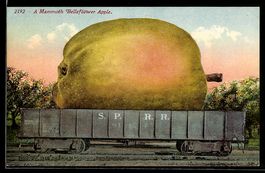 Optische Täuschung mit gigantischem Apf