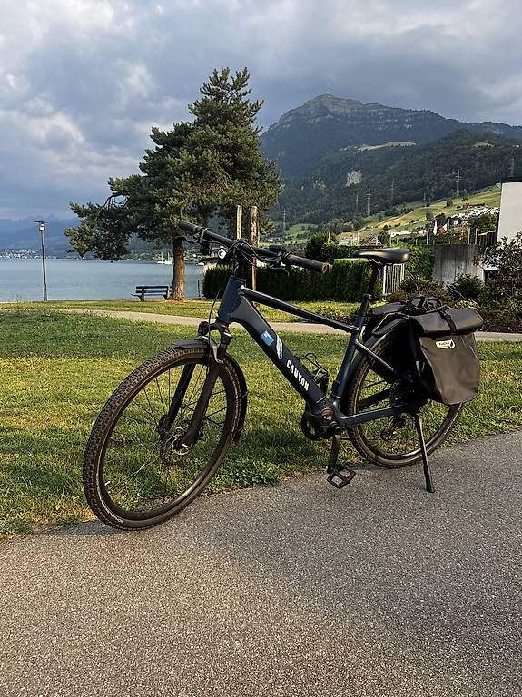 Canyon Biciclette: Canyon Pathlite:ONfly 8 - neuwertig – Usato da Immensee venduto da Pepita26 3