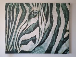 Bild mit Zebra