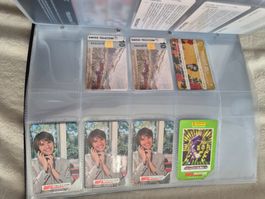 Sammlung  Tax Card Ordner