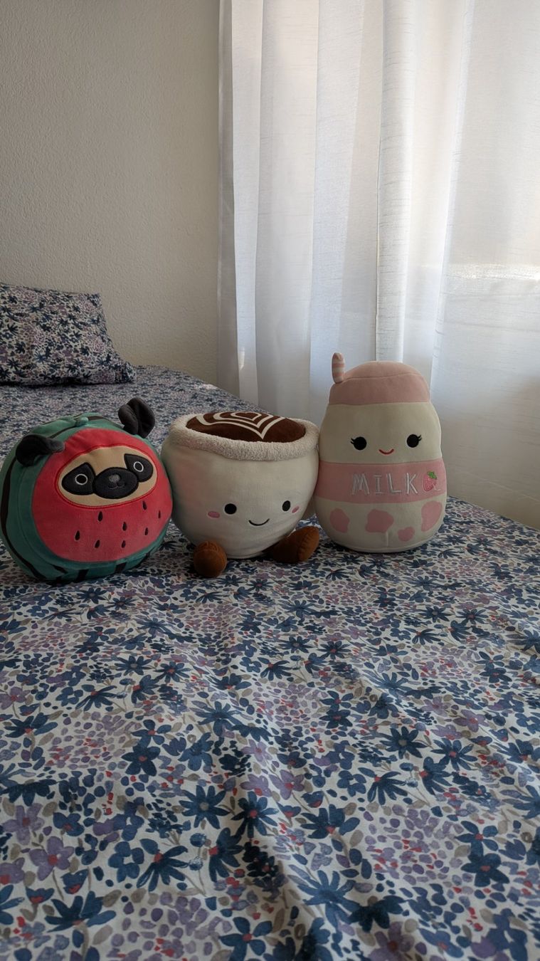 Jouets: Squishmallows 3er Set: Melone, Kaffee, Erdbeermilch – D'occasion à Ostermundigen par mizuth