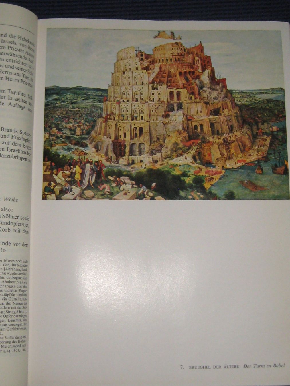 Bücher: Die Heilige Schrift - Top Zustand! – Gebraucht aus Neftenbach von Werthe 6
