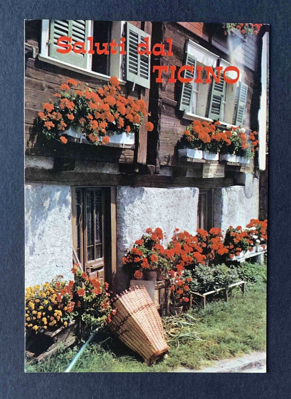 Cartoline postali: AK Saluti dal Ticino – Usato da Goldau venduto da artelier1