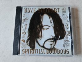 Dave Stewart And The Spiritual Cowboys