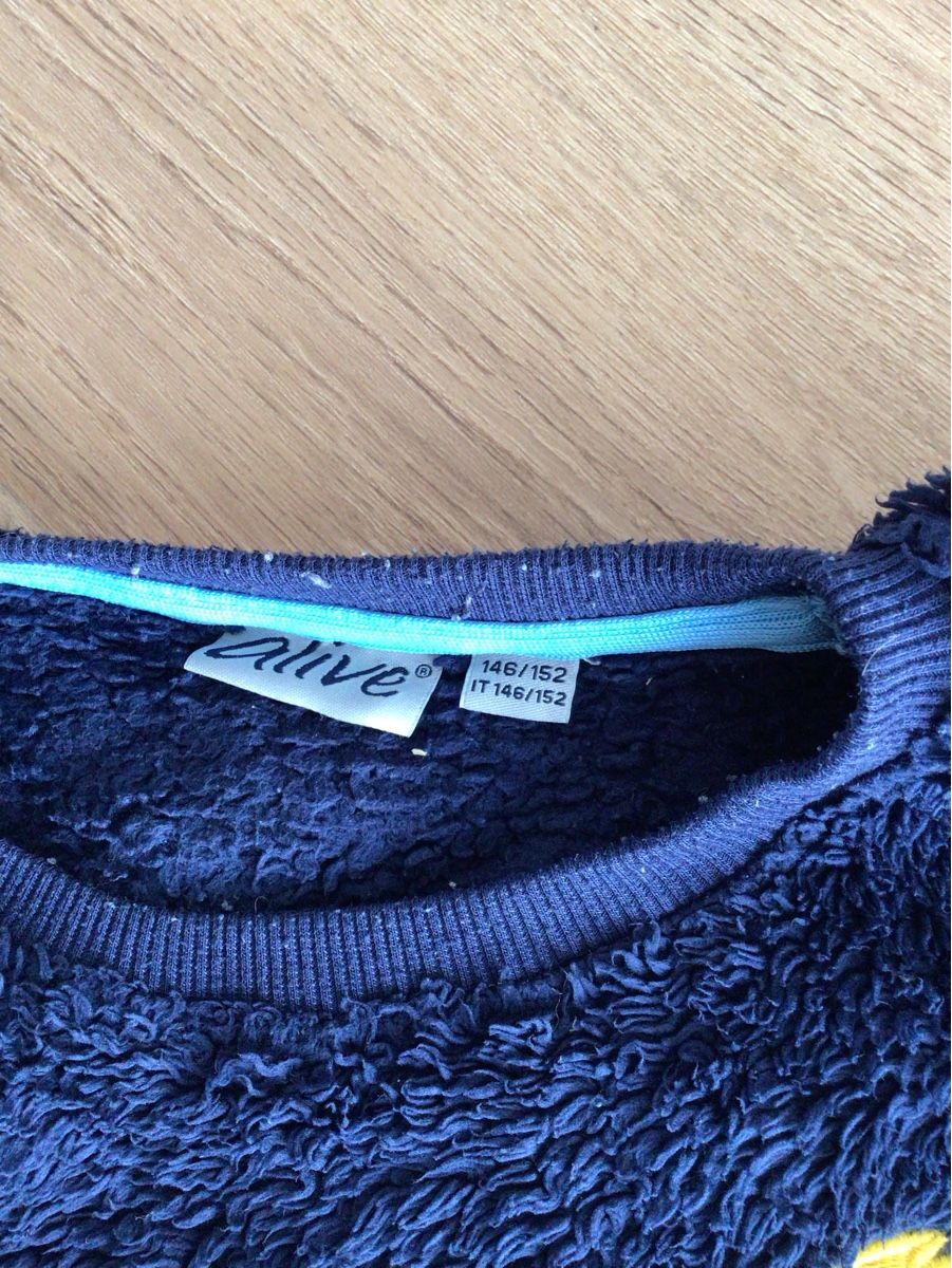 Pullover & Sweatshirts: Pullover Grösse 146/152 – Gebraucht aus Zimmerwald von wuff81 1