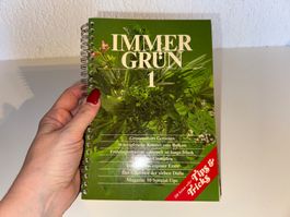BUCH: Immergrün 1