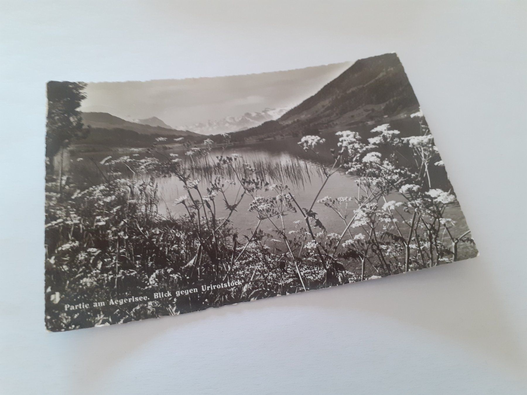 Cartoline postali: PARTIE am AEGERISEE - URIROTSTOCK – Usato da Winterthur venduto da Ornyx7