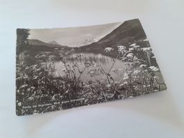 PARTIE am AEGERISEE - URIROTSTOCK