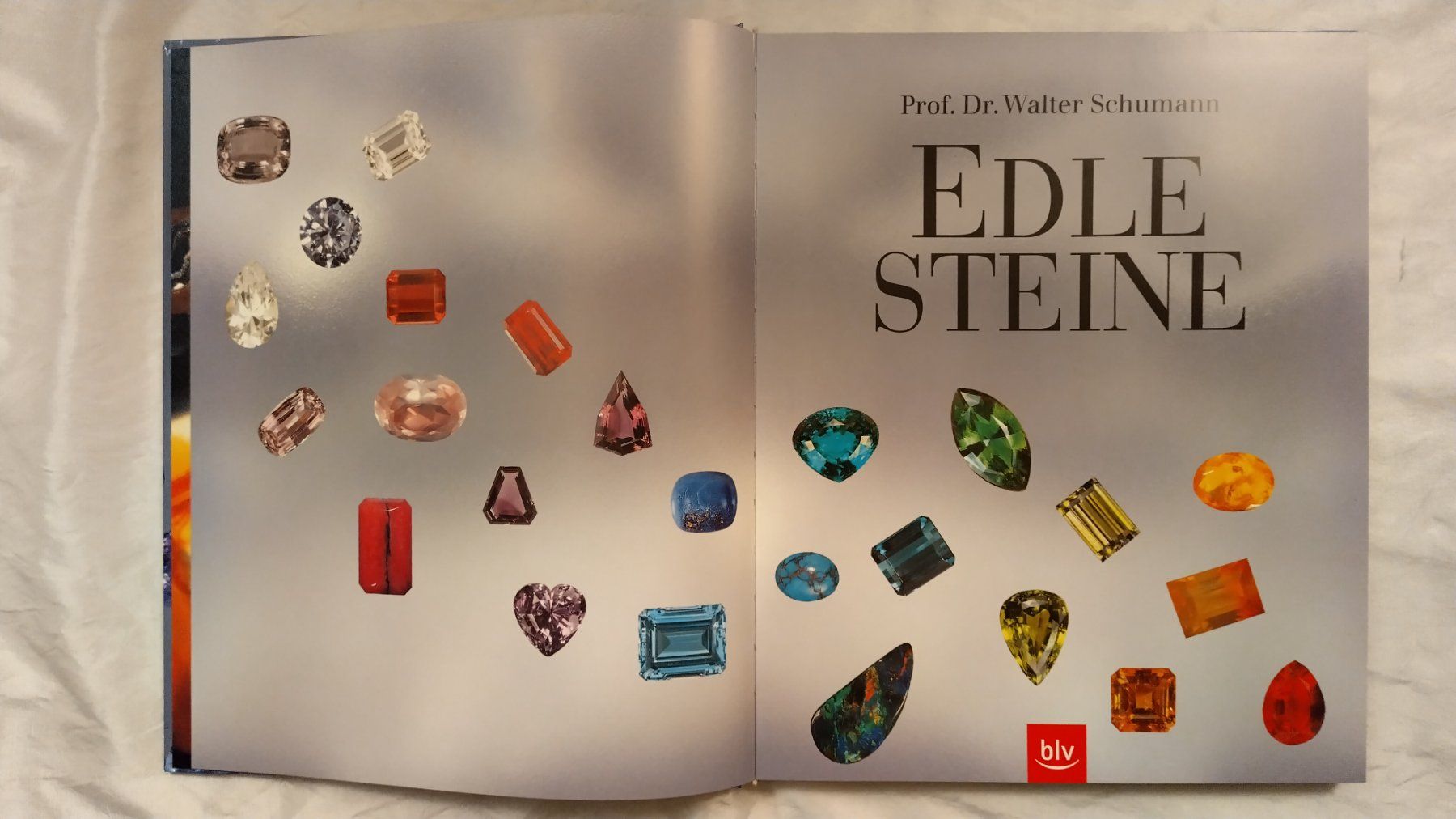Libri: Edle Steine - Edelsteine / Buch 2000 / Walter Schumann – Usato da Bellach venduto da JingleJerry 2