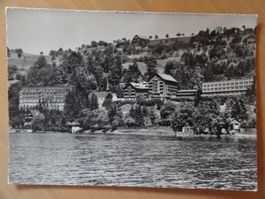 Gesamtansicht Ländli am Aegerisee - 1959