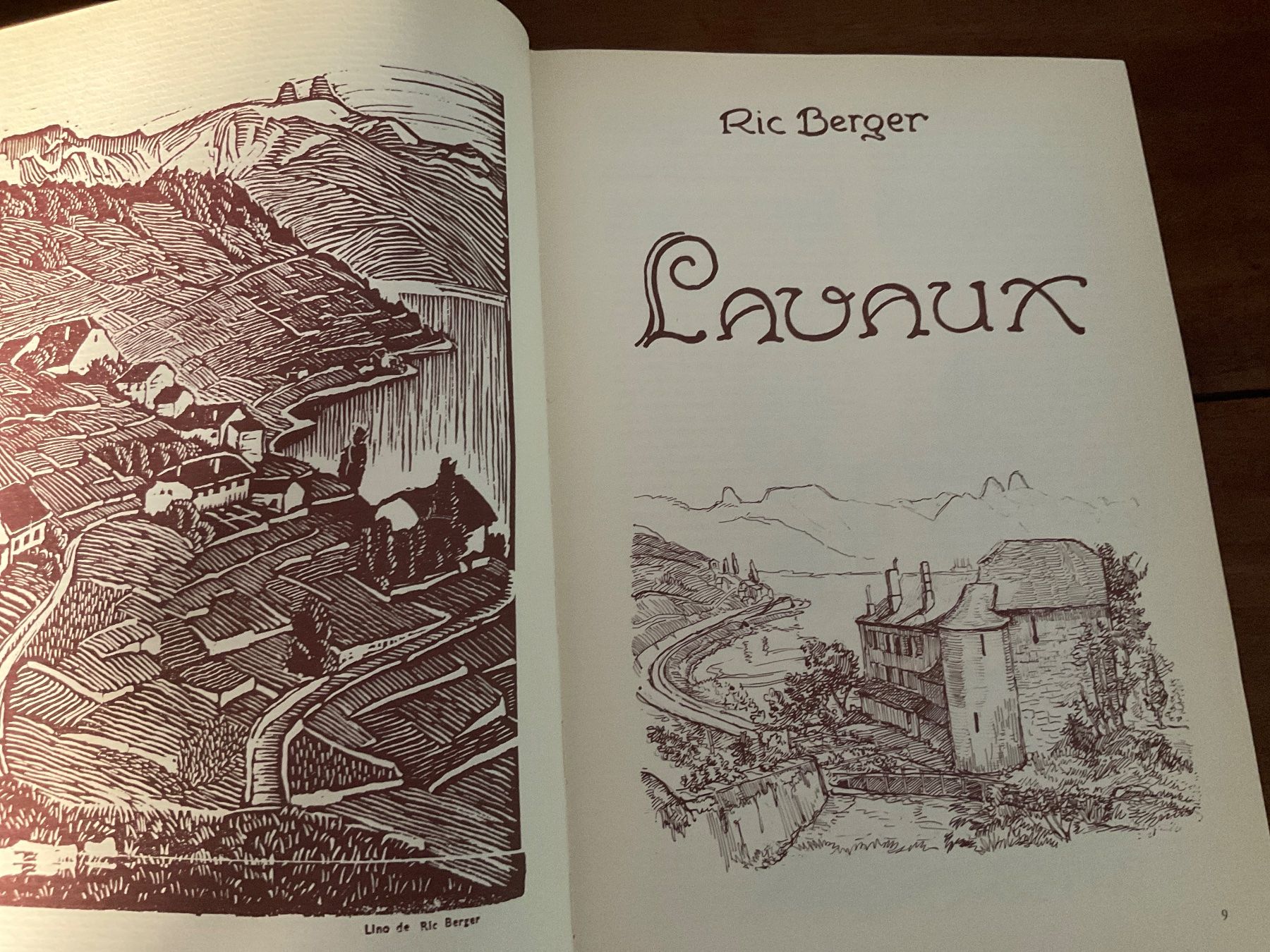 Libri: Livre Lavaux Ric Berger, Edition originale – Usato da Avenches venduto da Tinkey 3