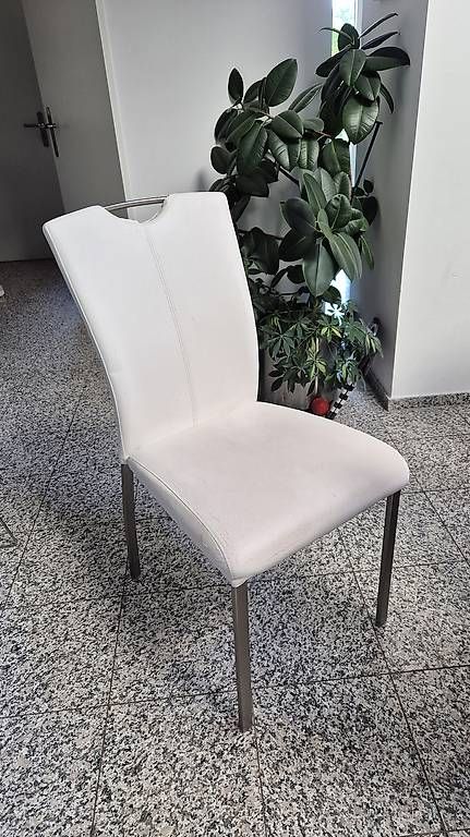 Sedie: 6 Stühle zu verschenken – Usato da Märstetten venduto da Optika