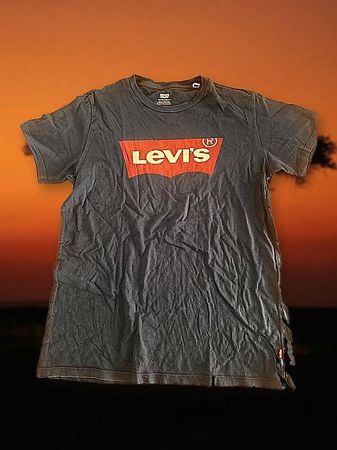 Levi's T-Shirt navy, Herren S, Logo-Print