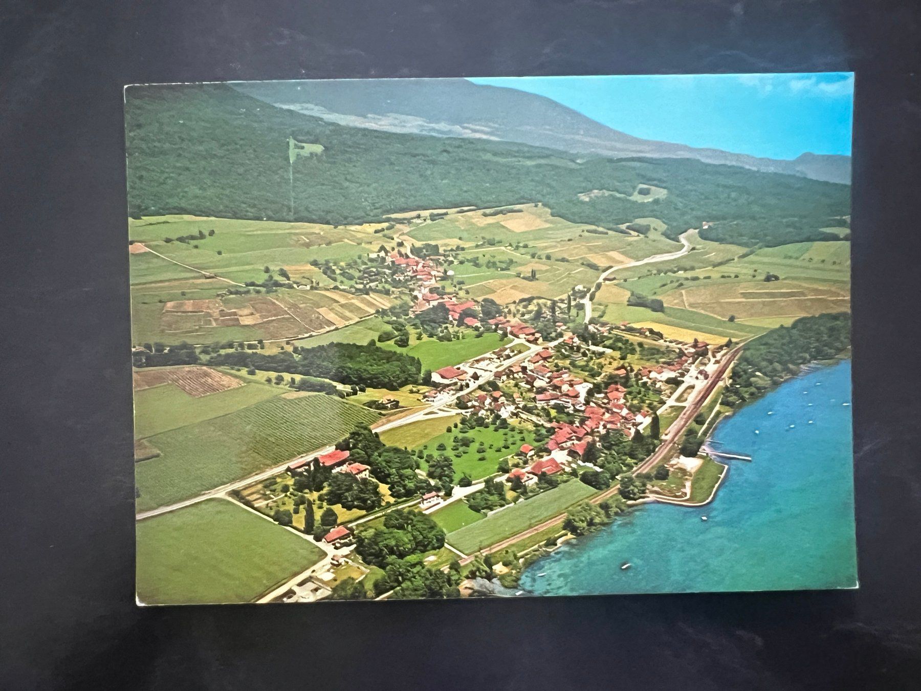 Ansichtskarten: AK  1981 Concise     (G3367) – Gebraucht aus Hinwil von Sidi4