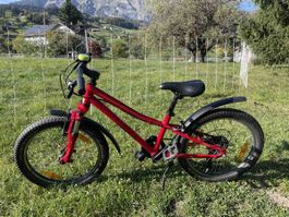 Specialized Kinder Mountainbike 20 Zoll rot