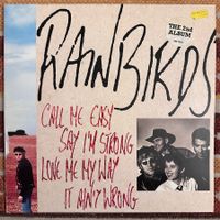 LP - Rainbirds – Call Me Easy Say I'm Strong Love Me My Way