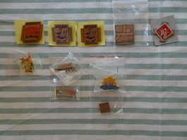 7 Stk. NEUE Pin's & 3 Stk. Abzeichen vom TV Satus - M174