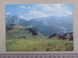 Sur les pentes du Chamossaire, 1982
