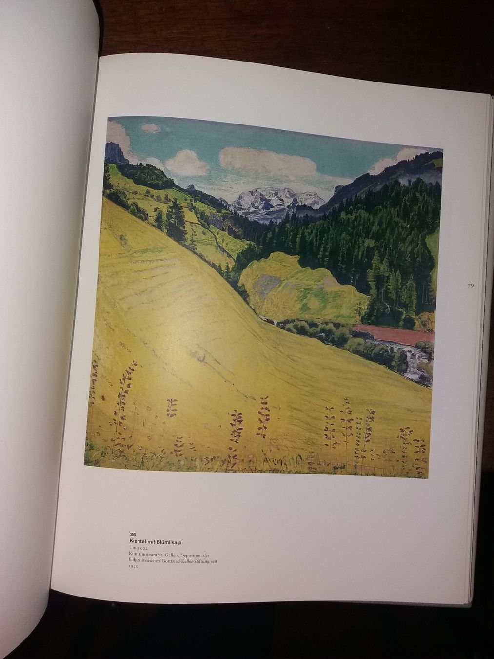 Bücher: KUNSTKLASSIKER Ferdinand Hodler landschaften – Gebraucht aus Welschenrohr von Regool 6