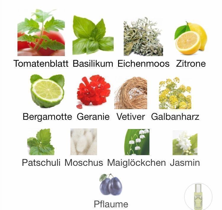 Sisley Profumi & Eau de Toilette: SISLEY Eau de Campagne 5 ml Abfüllung – Usato da St. Gallen venduto da lfs_nxl8 4