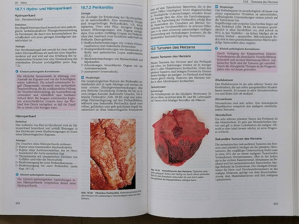 Bücher: Pathologie – Neu (gemäss Beschreibung) aus Marthalen von bahnundflug 1