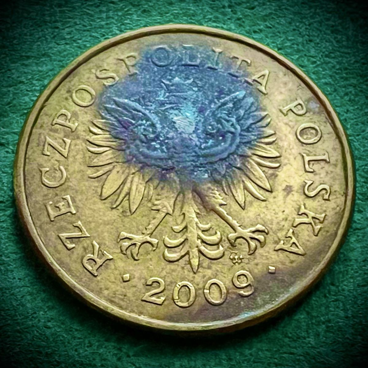 Tutti le monete: 5 GROSZY 2009 POLEN – Usato da Gossau SG venduto da NUMOPOL