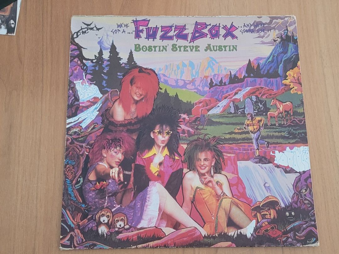 Vinyles: LP  We've Got a Fuzzbox and We're Gonna Use It – D'occasion à Martigny par MZ-67