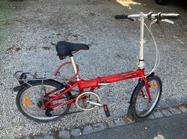 Klappvelo dahon rot