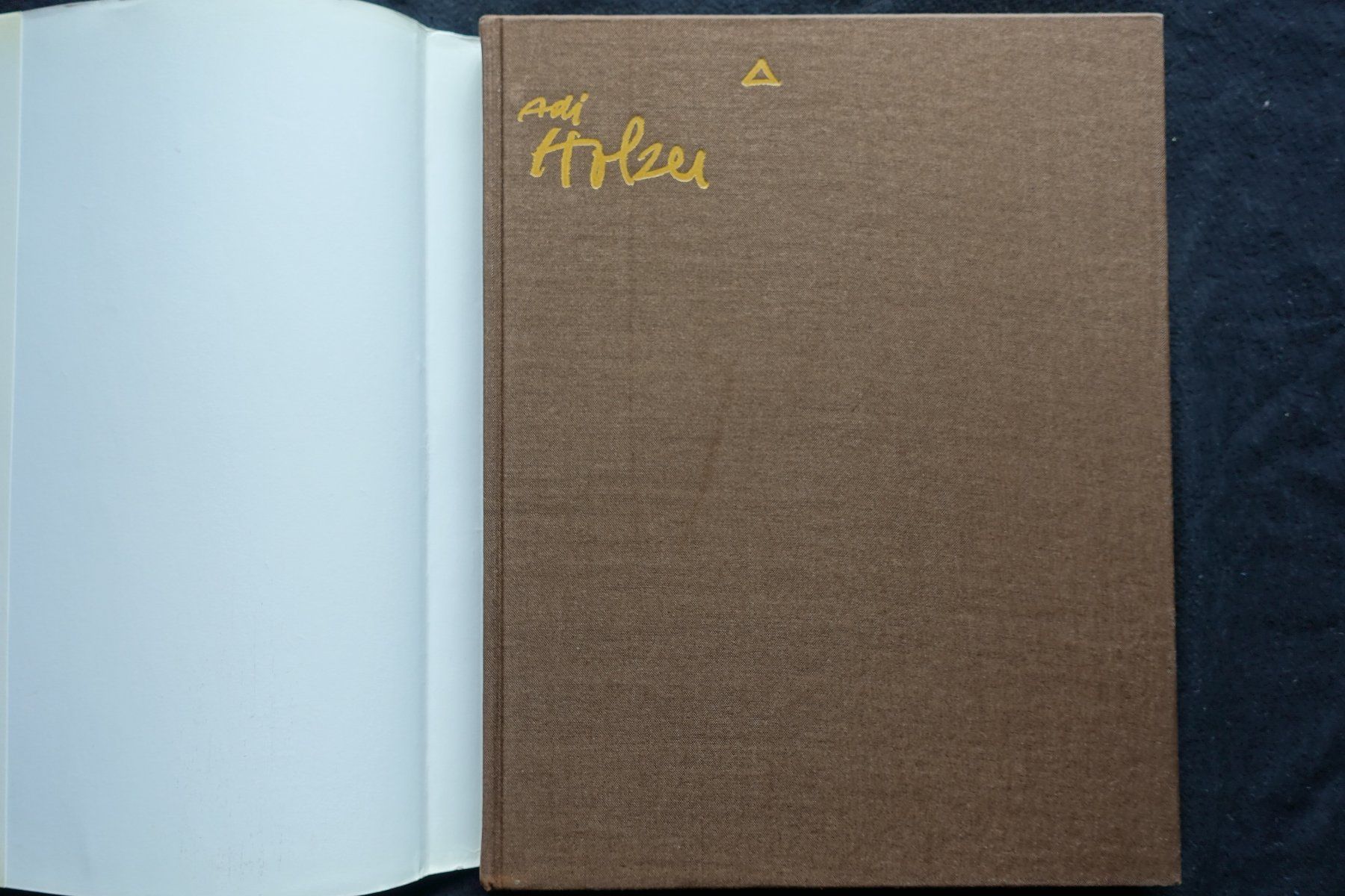 Libri: Adi Holzer, 1986, Galerie Carinthia – Usato da Gutenswil venduto da Optico 1