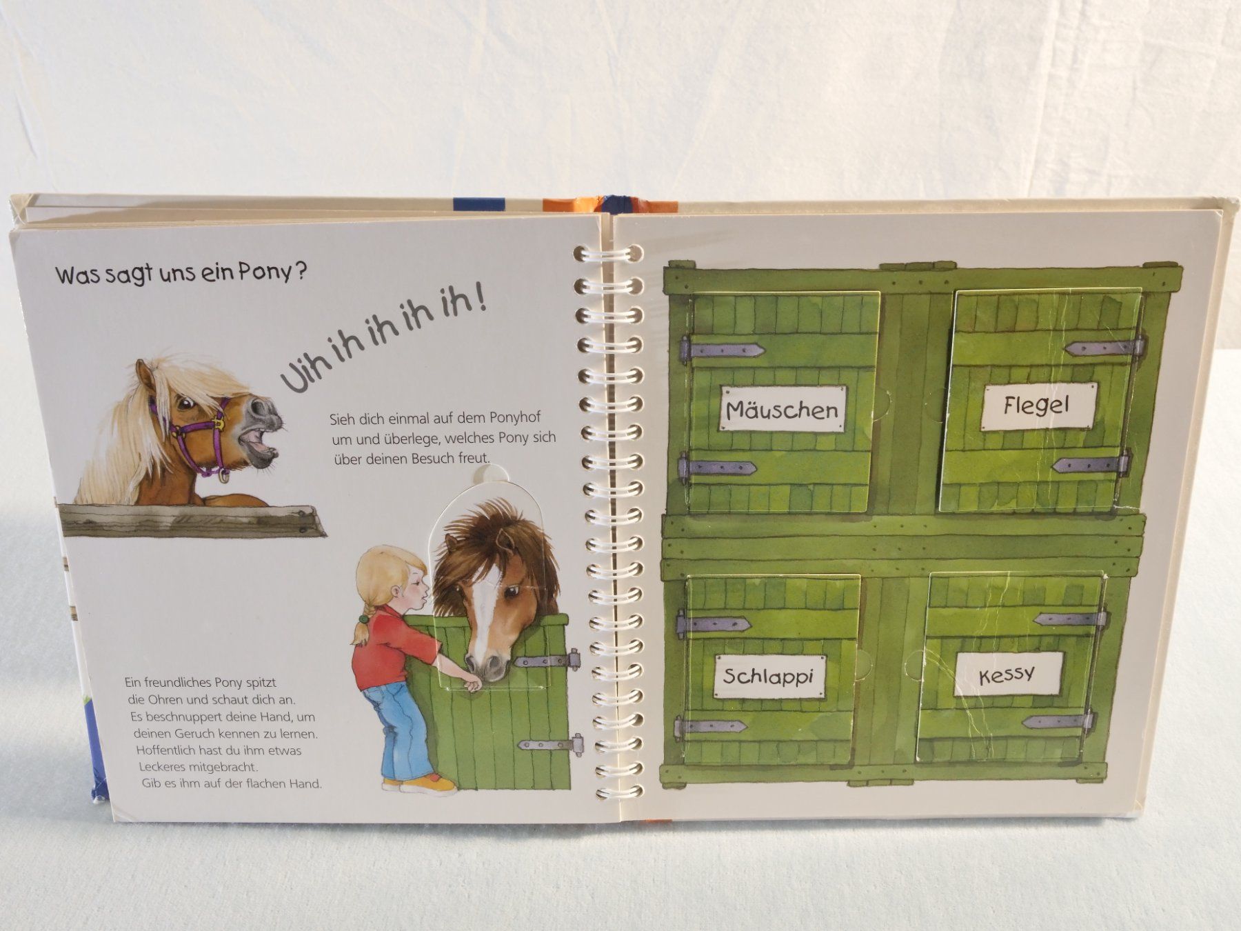 Bücher: Wieso Weshalb Warum? junior: Das Pony – Gebraucht aus Lustmühle von Glatisant 6