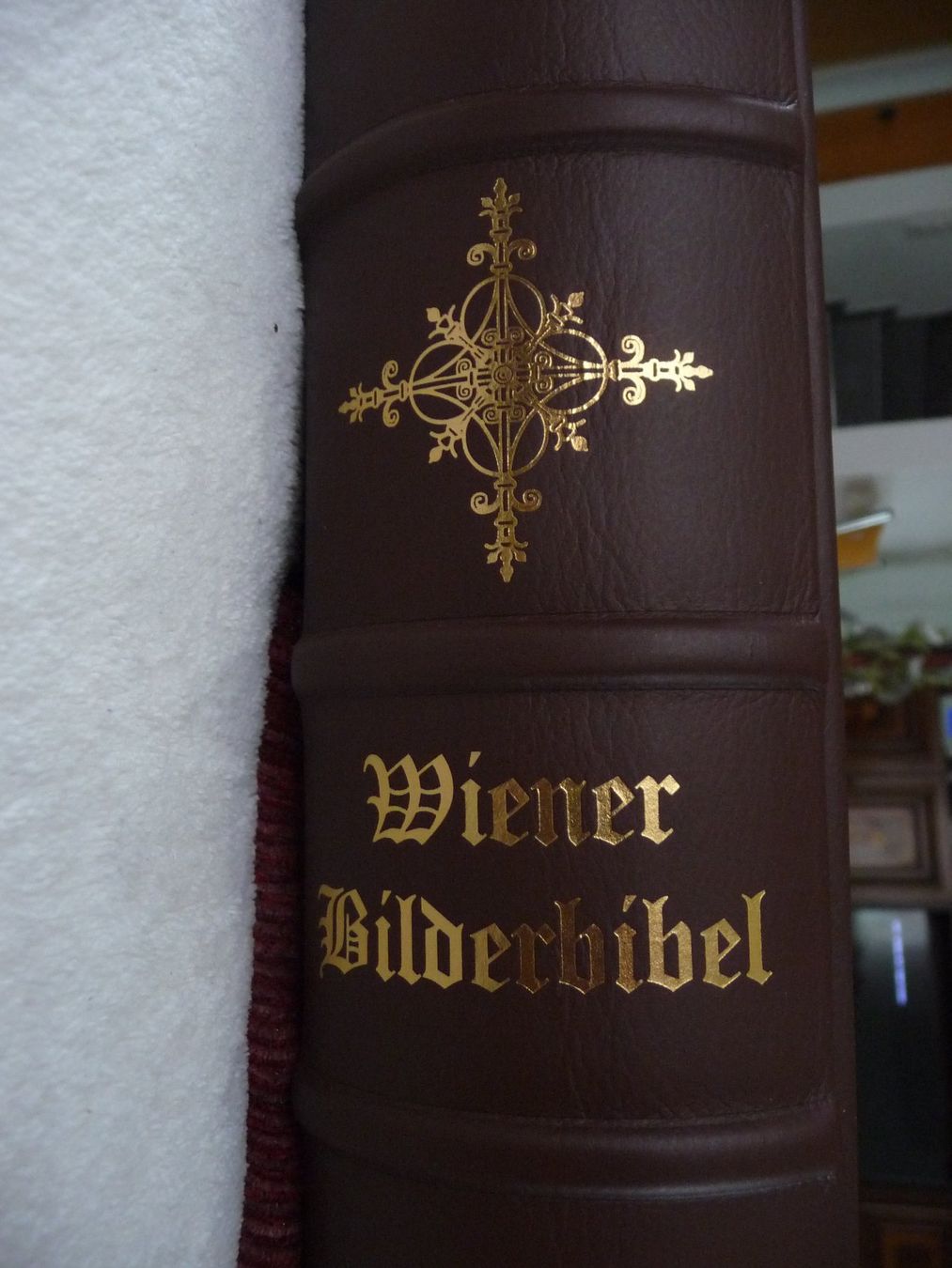 Libri: Wiener Bilderbibel – Nuovo (secondo la descrizione) da Diegten venduto da Jnaef 2